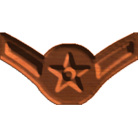 Air Force Enlisted Collection