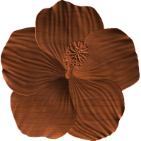 Hibiscus Flower OLG