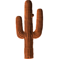 Cactus-01A